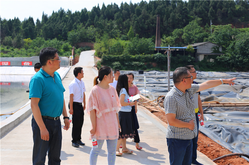 集團(tuán)第一檢查組檢查杰陽排水公司、固廢處置公司安全防汛和環(huán)保達(dá)標(biāo)各項(xiàng)工作3_副本