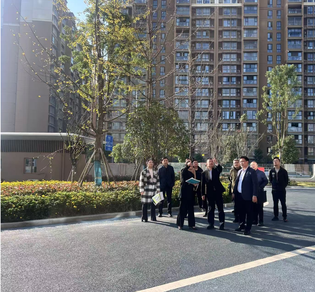 副市長徐春龍調(diào)研德陽市老年養(yǎng)護院、德陽市民政精神衛(wèi)生福利機構(gòu)項目建設(shè)工作